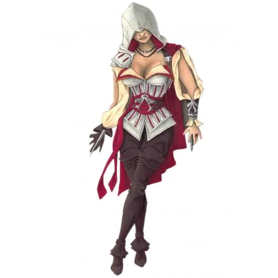 Assassin Creed Ninja Costume For Women