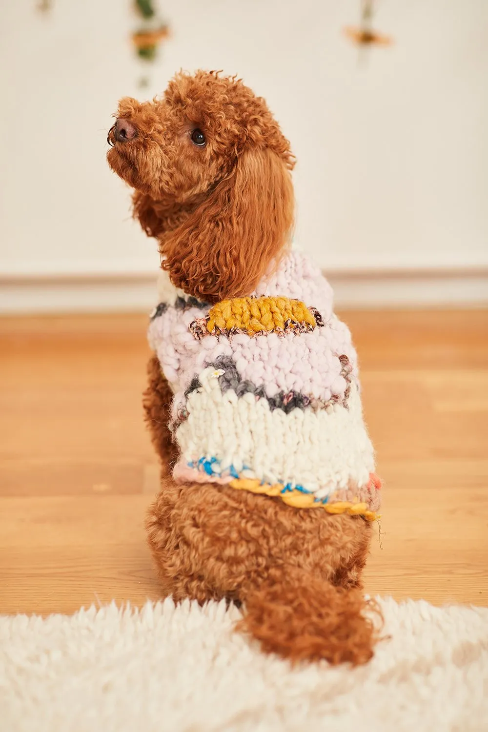 Flower Power Pet Sweater Pattern