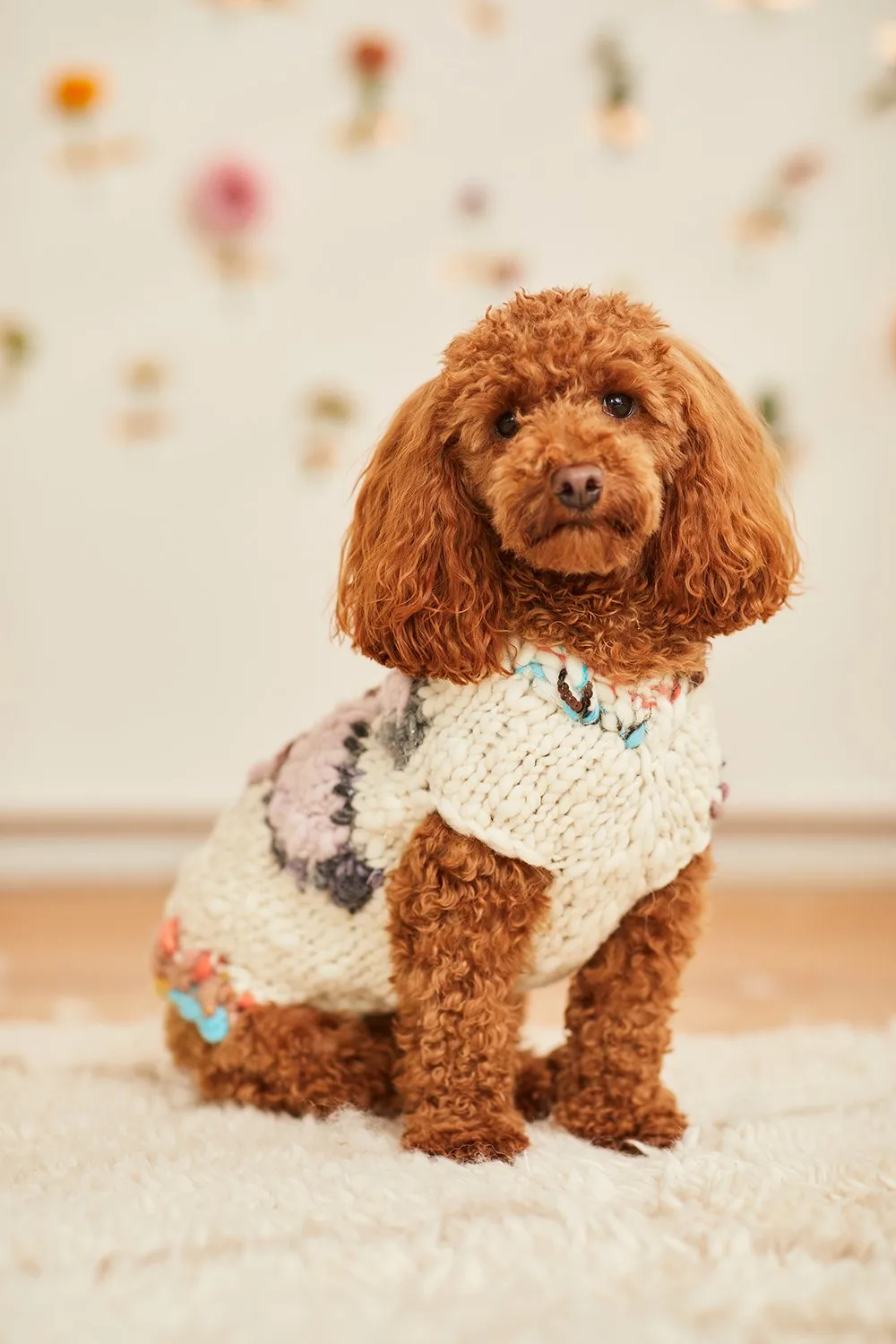 Flower Power Pet Sweater Pattern